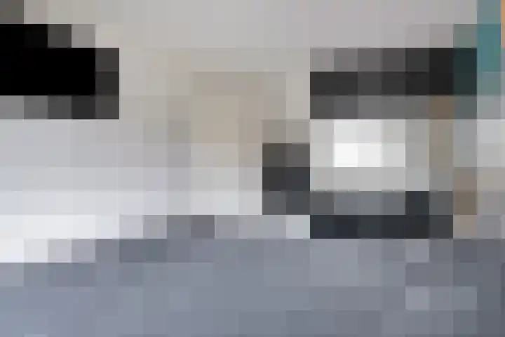 Smidsakker 13 Heteren thumbnail 26