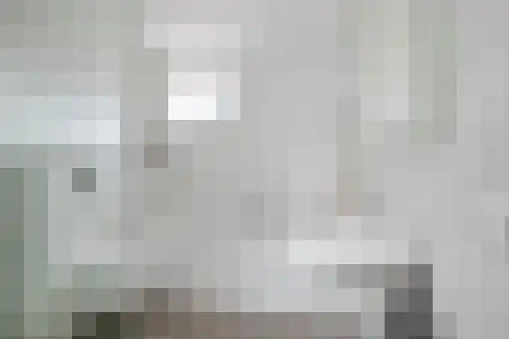 Smidsakker 13 Heteren thumbnail 29