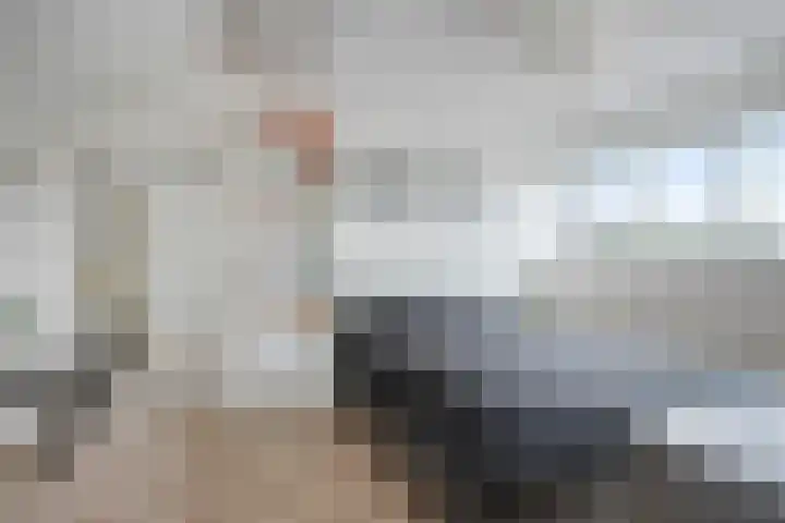 Smidsakker 13 Heteren thumbnail 33