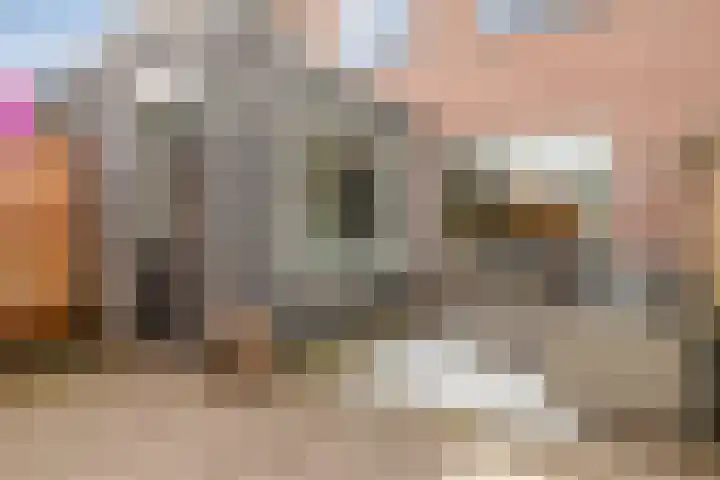 Smidsakker 13 Heteren thumbnail 37