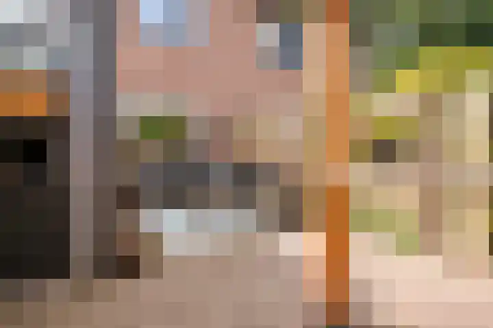Smidsakker 13 Heteren thumbnail 38
