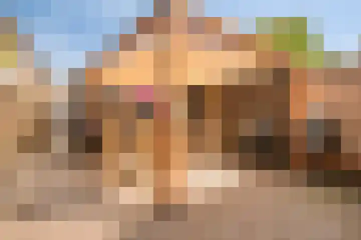 Smidsakker 13 Heteren thumbnail 4