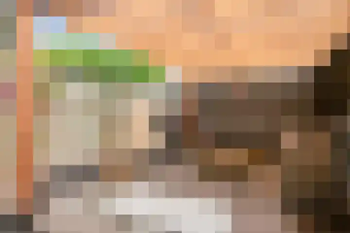Smidsakker 13 Heteren thumbnail 40