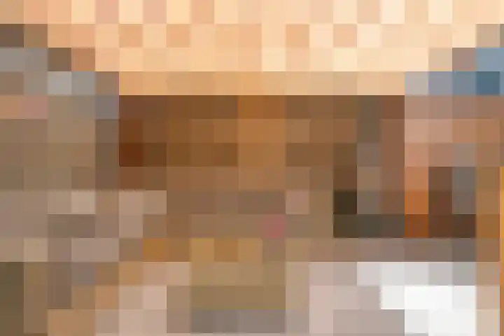 Smidsakker 13 Heteren thumbnail 41