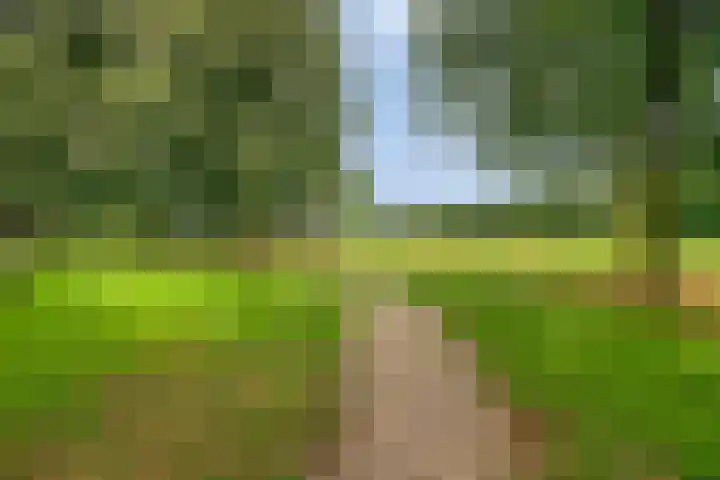 Smidsakker 13 Heteren thumbnail 45