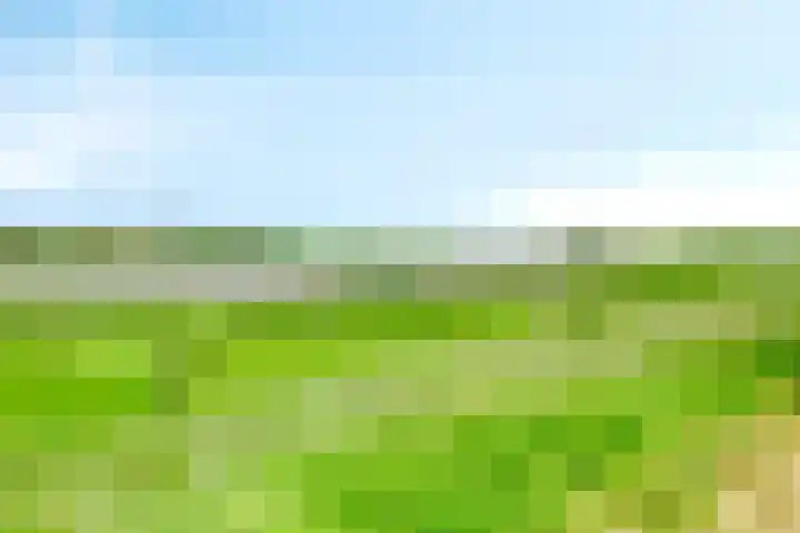 Smidsakker 13 Heteren thumbnail 46