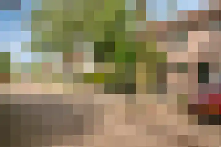 Smidsakker 13 Heteren thumbnail 5
