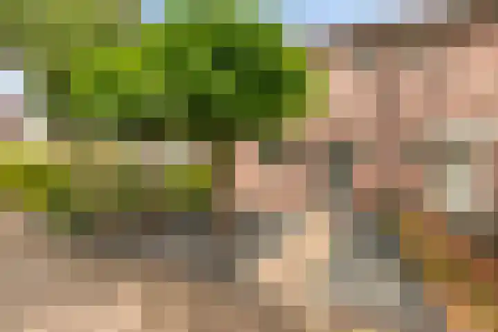 Smidsakker 13 Heteren thumbnail 6