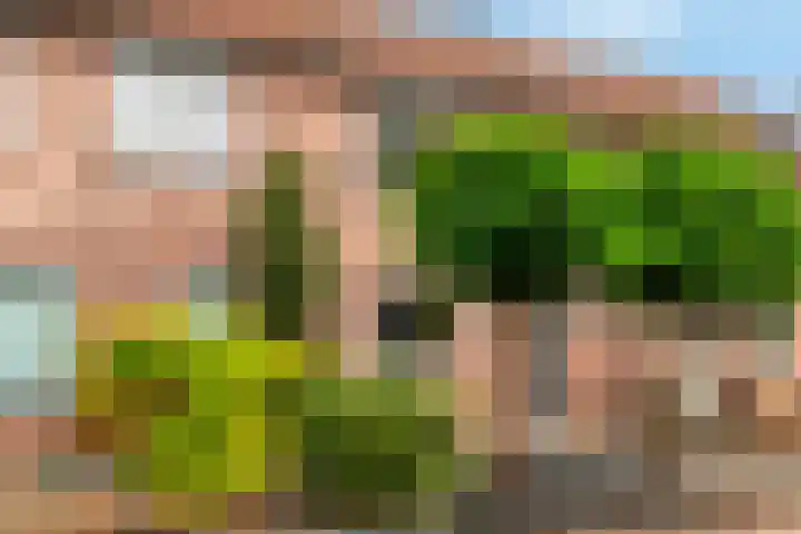Smidsakker 13 Heteren thumbnail 7