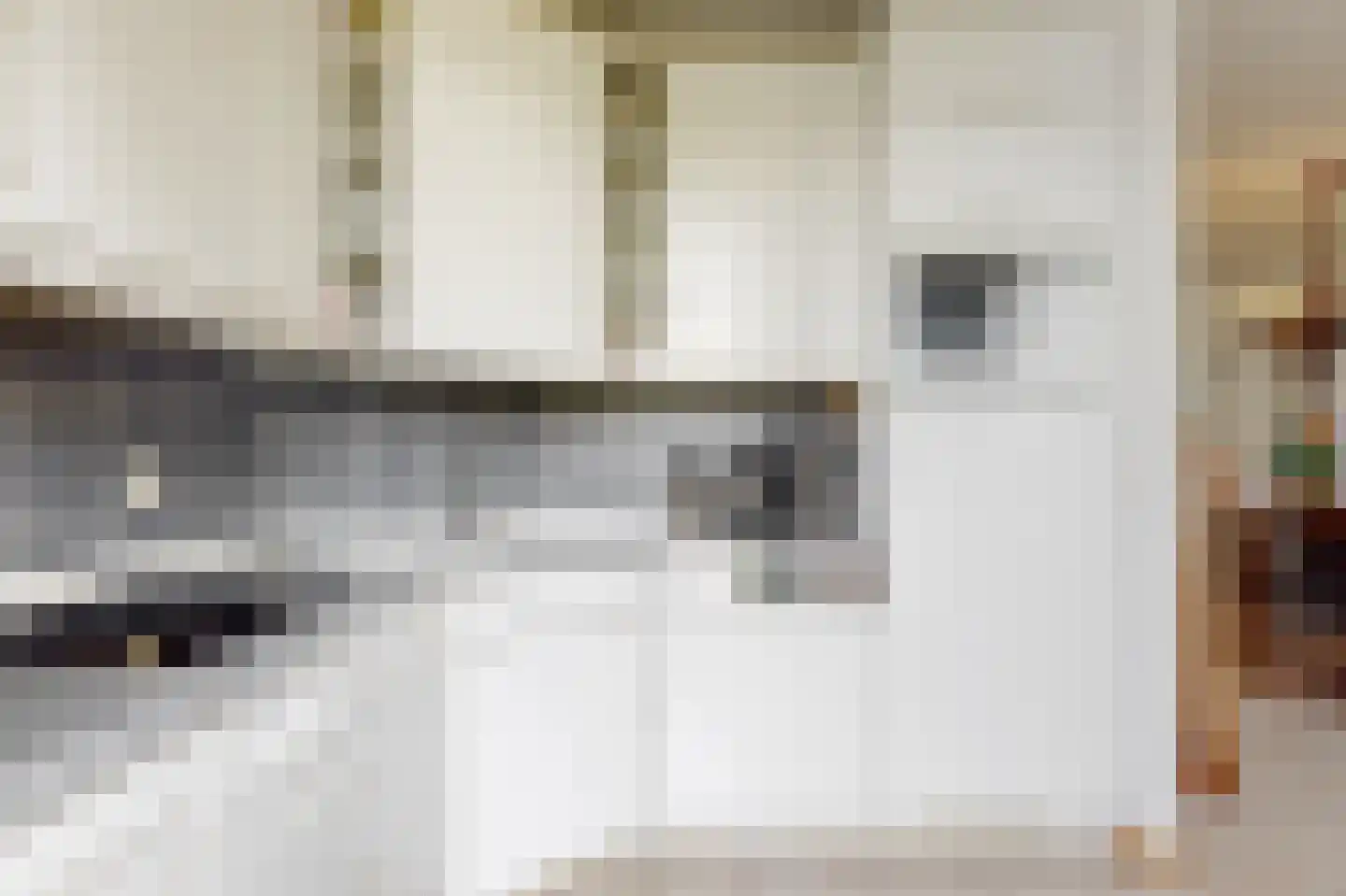 Smidsakker 21 Heteren thumbnail 10