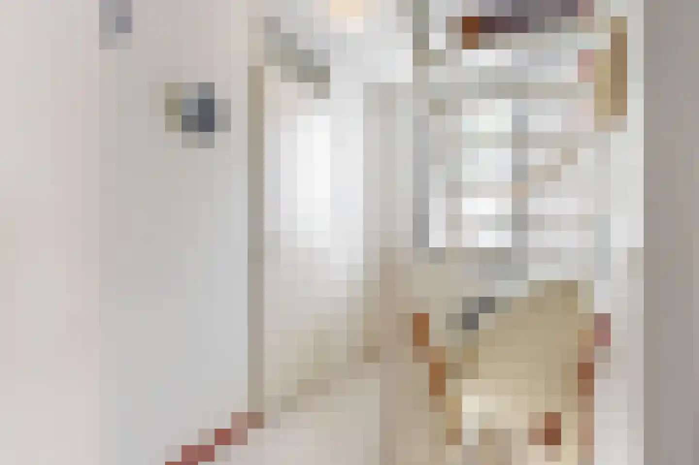 Smidsakker 21 Heteren thumbnail 12
