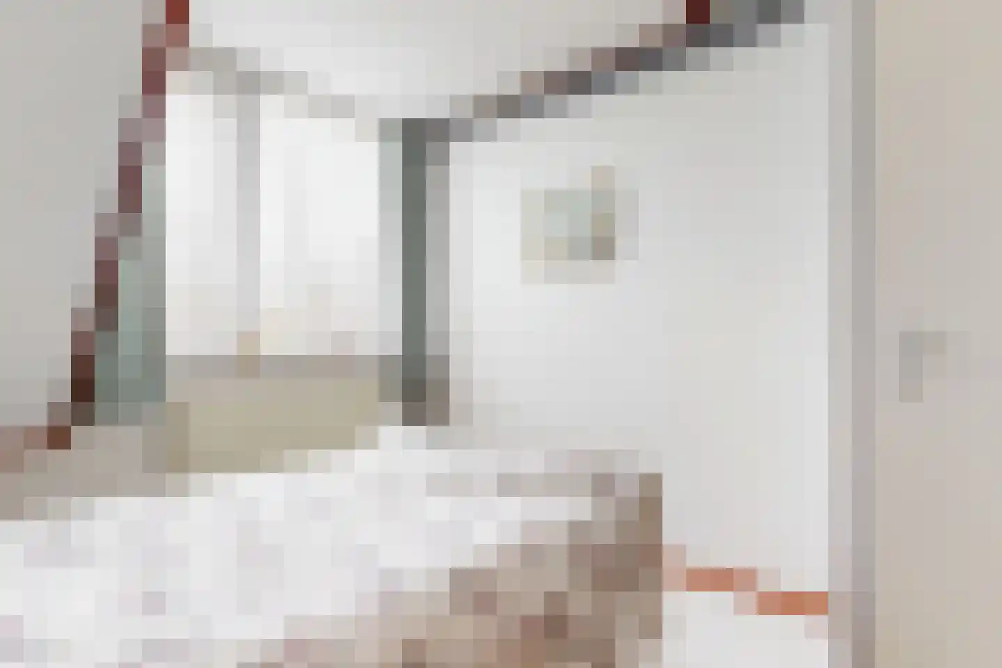 Smidsakker 21 Heteren thumbnail 17