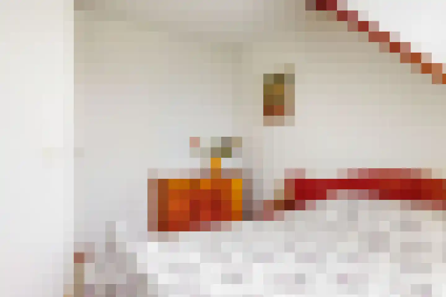 Smidsakker 21 Heteren thumbnail 18