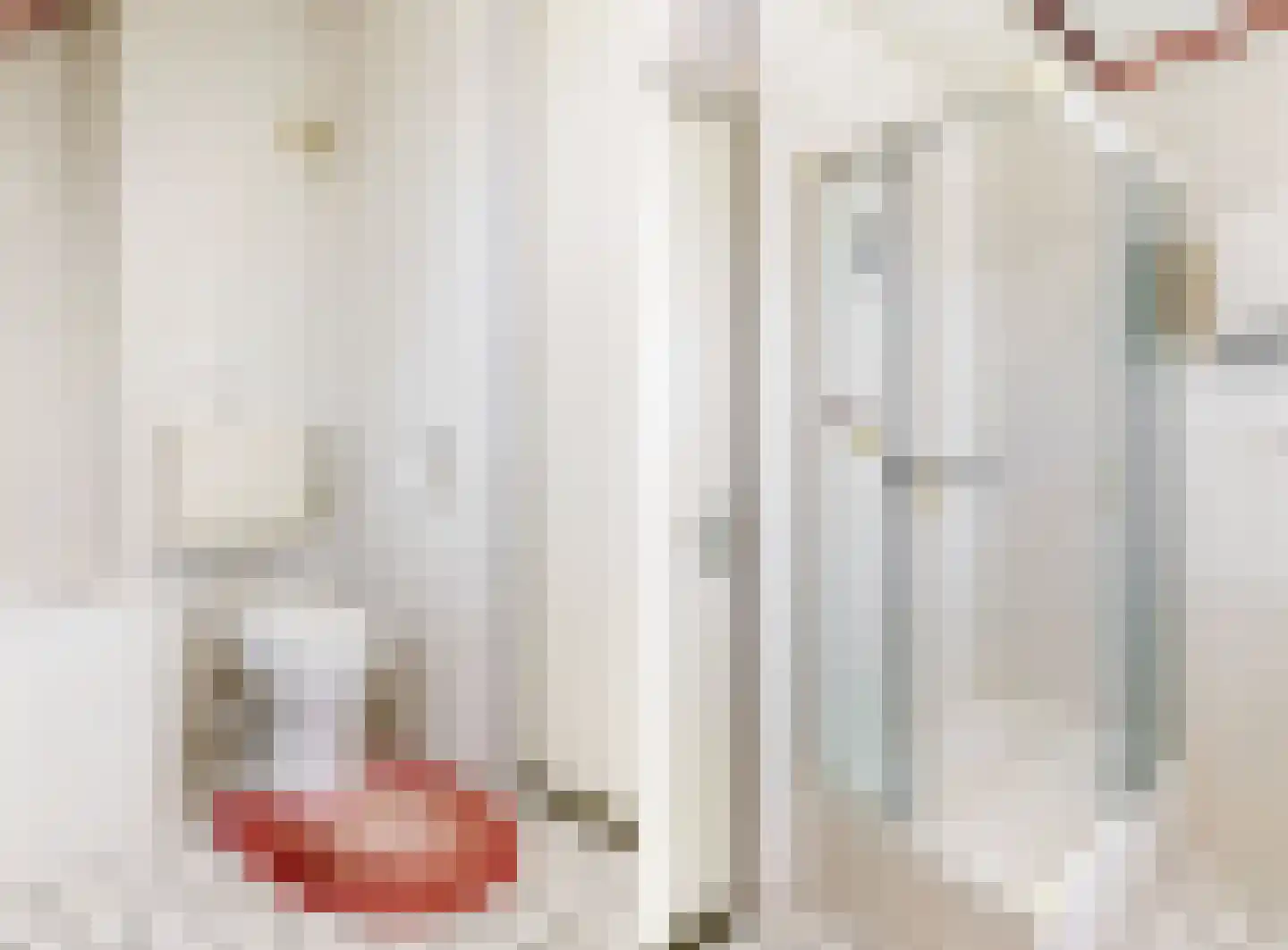 Smidsakker 21 Heteren thumbnail 20