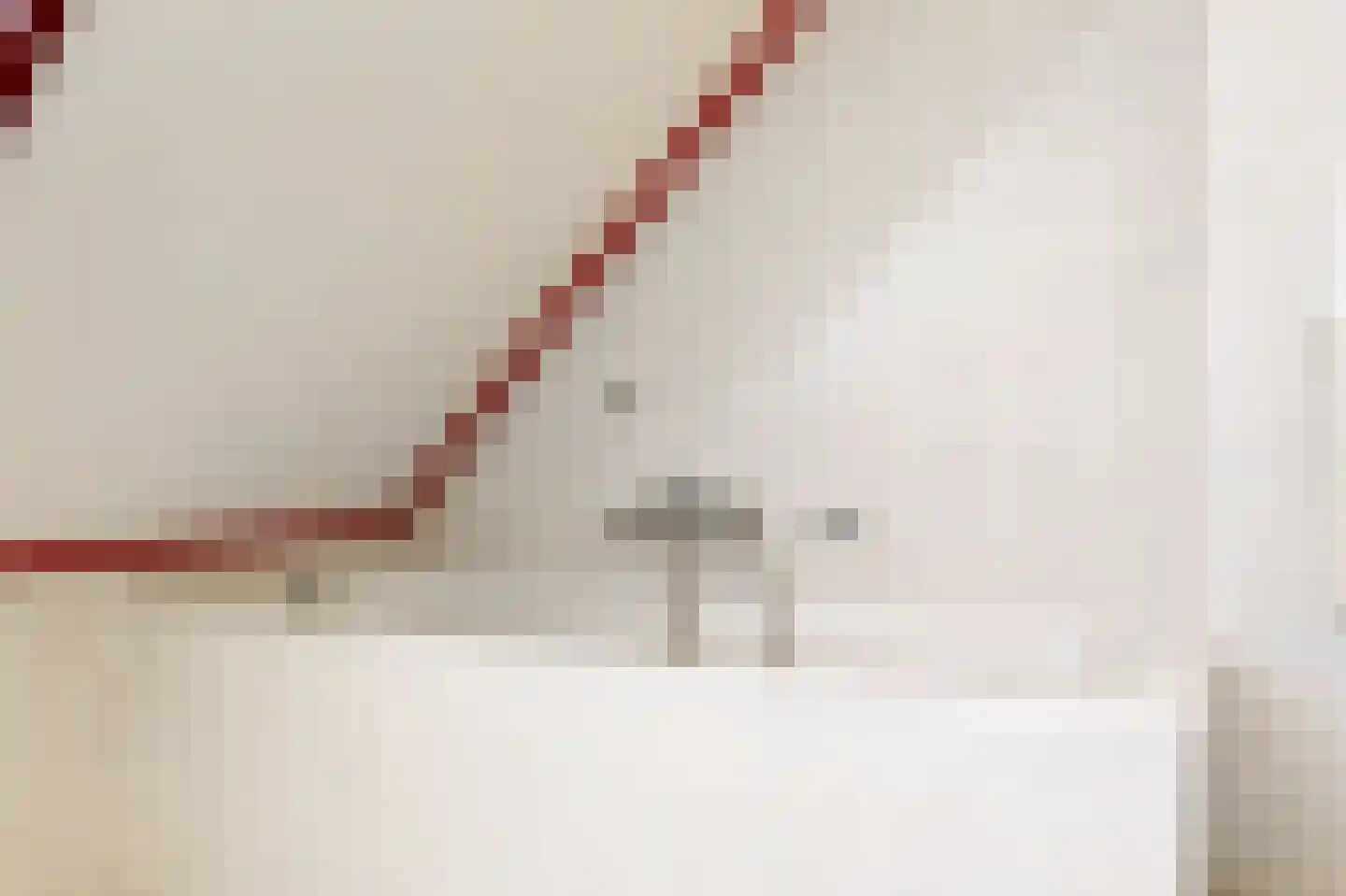Smidsakker 21 Heteren thumbnail 22
