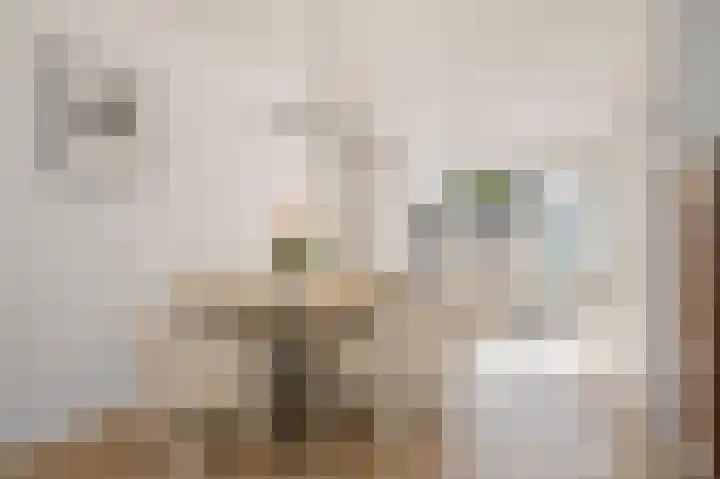 Smidsakker 22 Nispen thumbnail 11