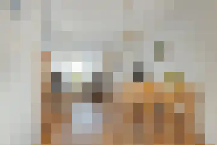 Smidsakker 22 Nispen thumbnail 12