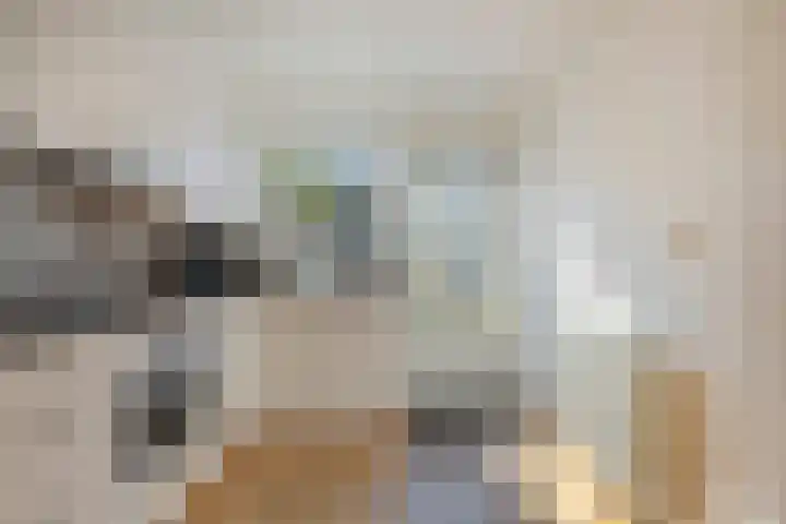 Smidsakker 22 Nispen thumbnail 13