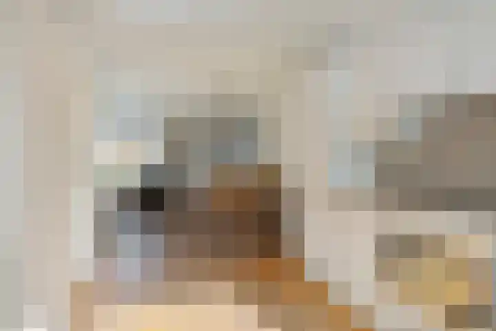 Smidsakker 22 Nispen thumbnail 14