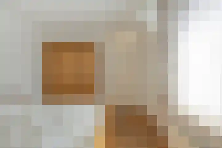 Smidsakker 22 Nispen thumbnail 17