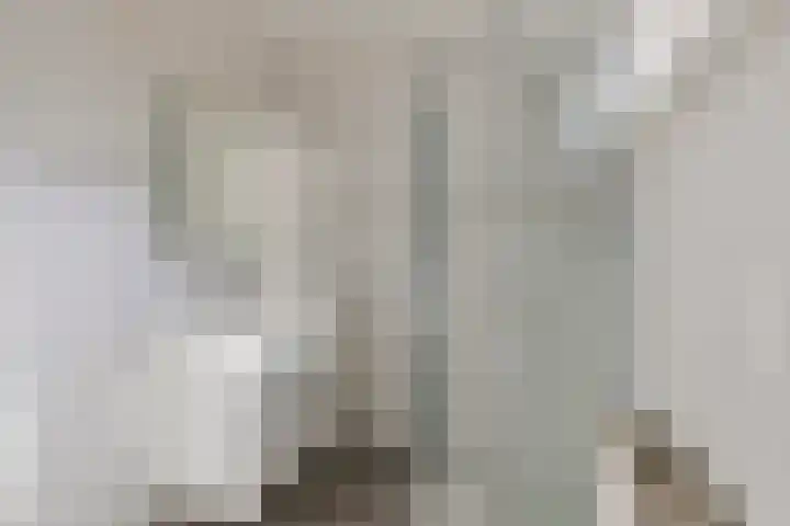 Smidsakker 22 Nispen thumbnail 18