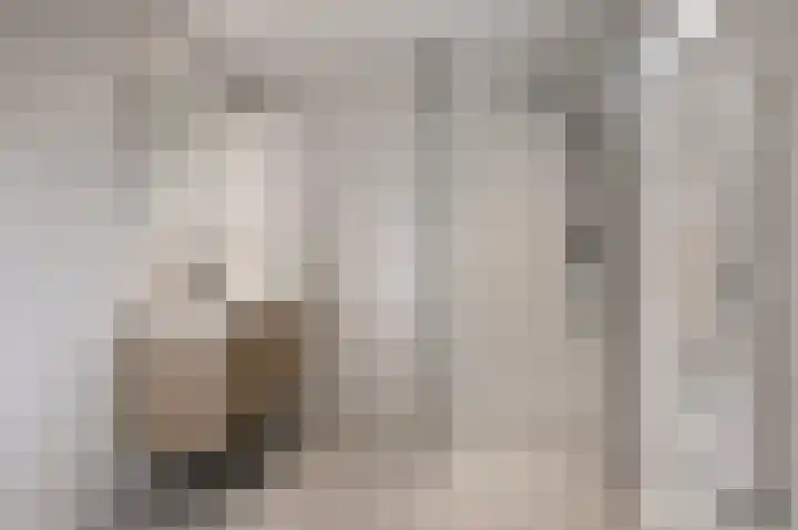 Smidsakker 22 Nispen thumbnail 19