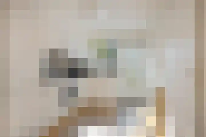 Smidsakker 22 Nispen foto 2