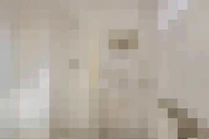 Smidsakker 22 Nispen thumbnail 24