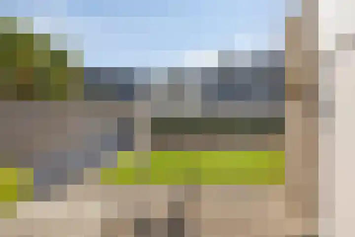 Smidsakker 22 Nispen thumbnail 26