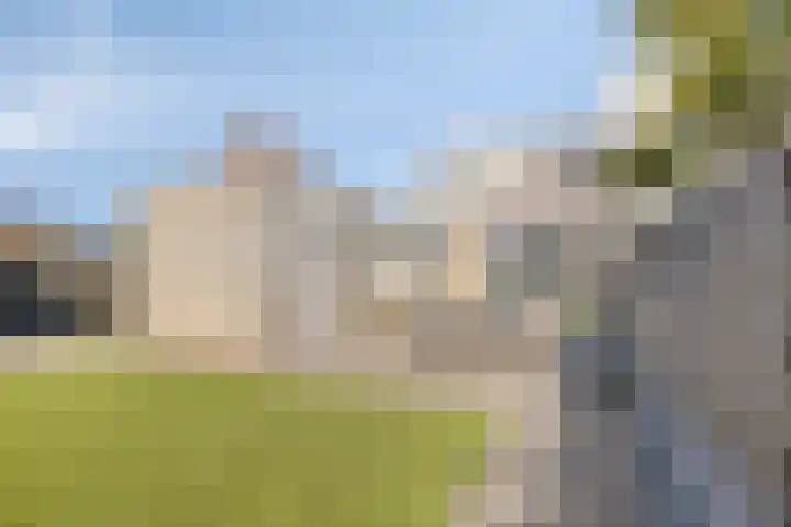 Smidsakker 22 Nispen thumbnail 28