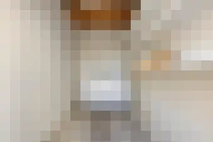 Smidsakker 22 Nispen thumbnail 29