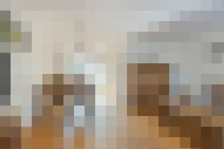 Smidsakker 22 Nispen foto 3