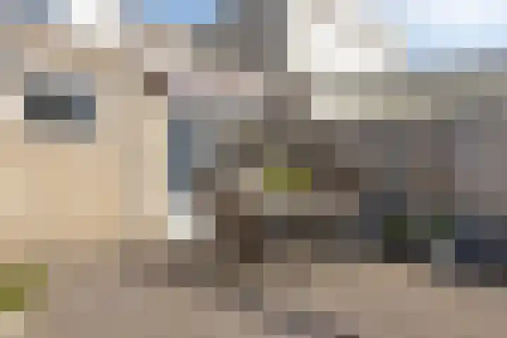 Smidsakker 22 Nispen thumbnail 30