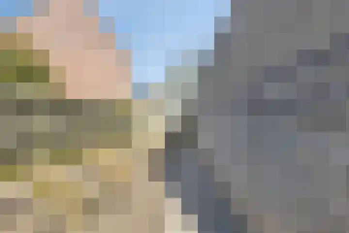 Smidsakker 22 Nispen thumbnail 31