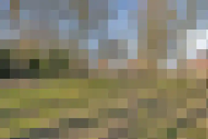 Smidsakker 22 Nispen thumbnail 36
