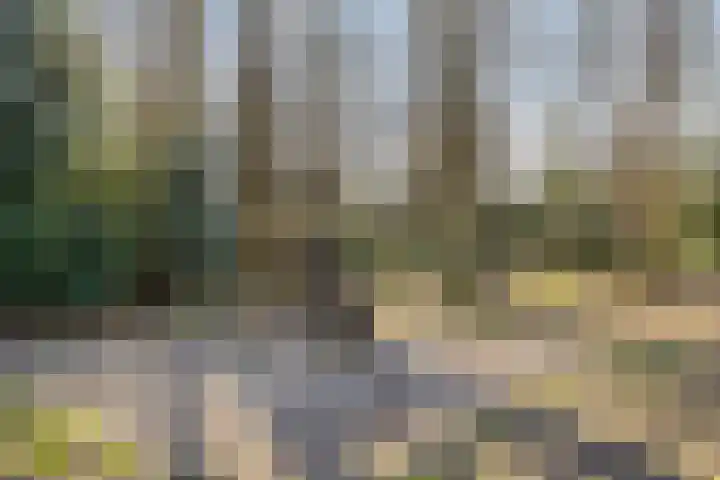 Smidsakker 22 Nispen thumbnail 37