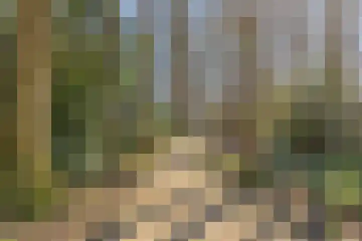 Smidsakker 22 Nispen thumbnail 38