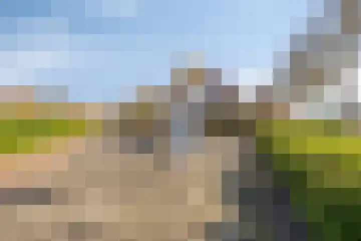 Smidsakker 22 Nispen thumbnail 39