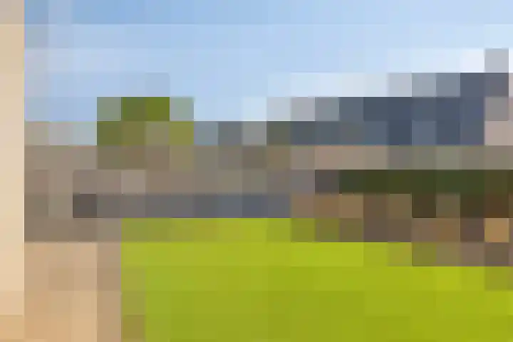 Smidsakker 22 Nispen thumbnail 4