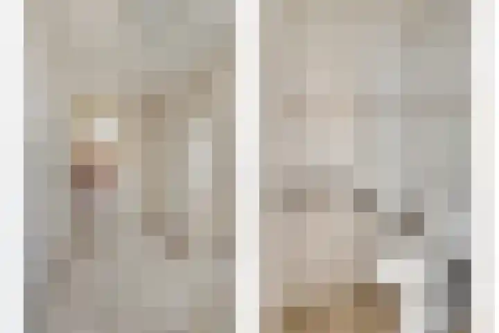 Smidsakker 22 Nispen thumbnail 5