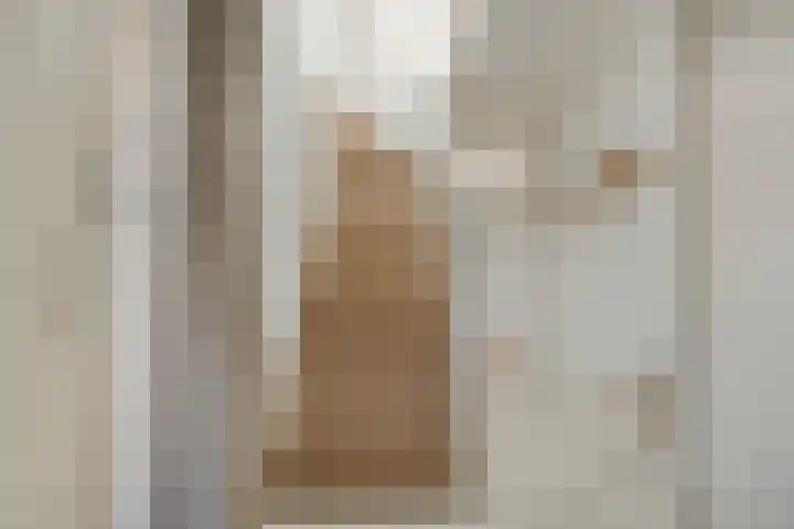 Smidsakker 22 Nispen thumbnail 6