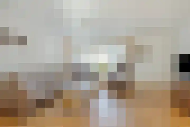 Smidsakker 22 Nispen thumbnail 7