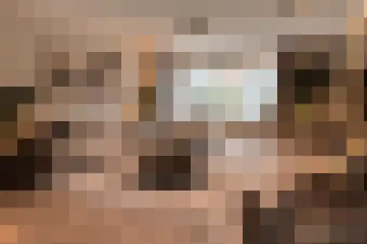 Smidsakker 22 Nispen thumbnail 8