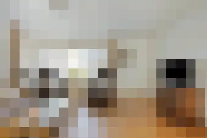 Smidsakker 22 Nispen thumbnail 9