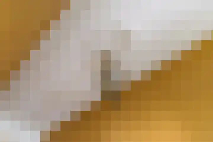 Smidsallee 18 De Steeg thumbnail 10
