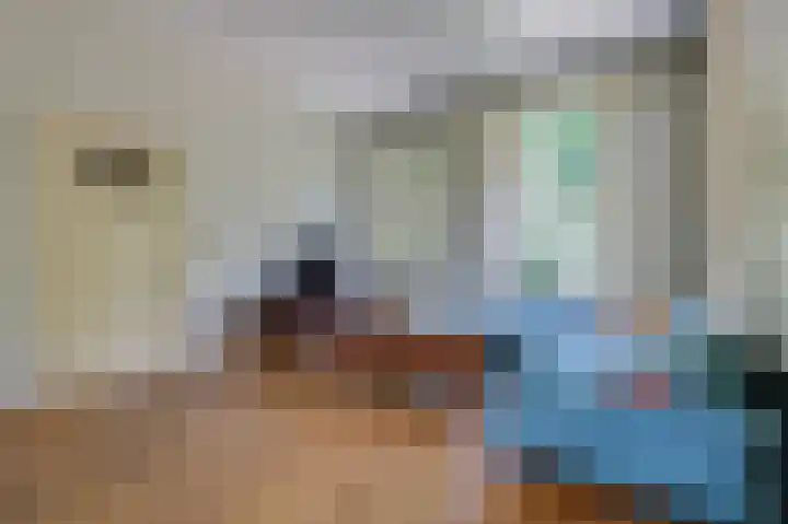 Smidsallee 18 De Steeg thumbnail 12