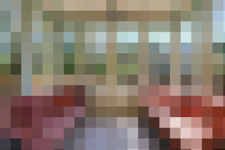 Smidsallee 18 De Steeg thumbnail 14