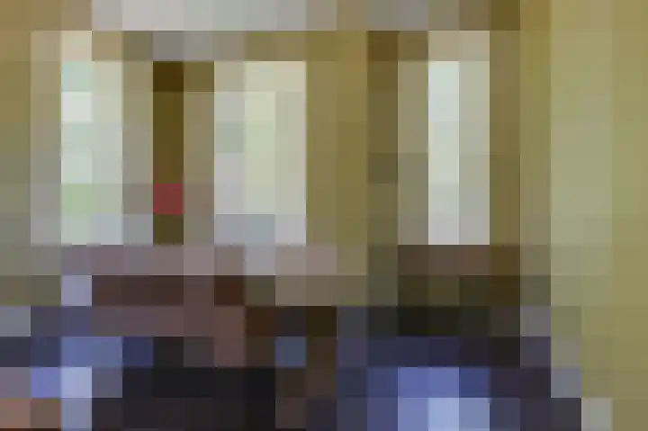 Smidsallee 18 De Steeg thumbnail 17