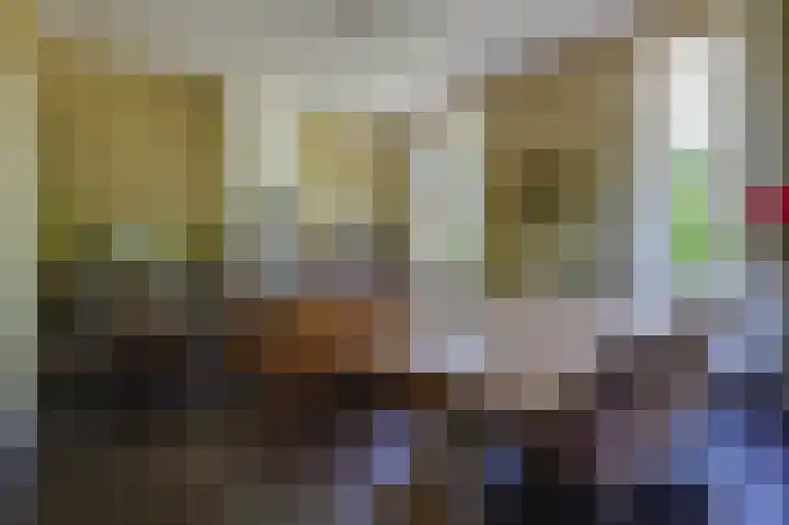Smidsallee 18 De Steeg thumbnail 18
