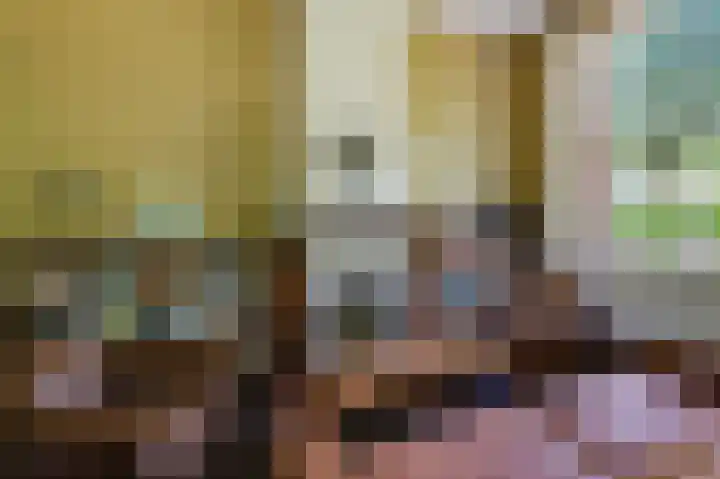 Smidsallee 18 De Steeg thumbnail 19